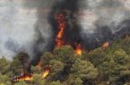 مهار آتش‌سوزی جنگل‌های منطقه حفاظت شده «دیل» گچساران پس از ۴ شبانه روز
