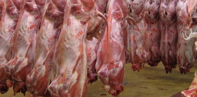 کاهش ۳۵ درصدی تقاضای گوشت در بازار/ گوسفند زنده کیلویی ۴۵ تا ۶۰ هزار تومان