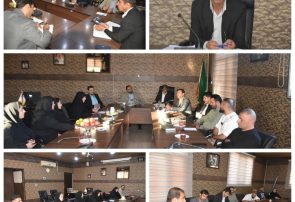 دومین جلسه هماهنگی برگزاری همایش بزرگ پیاده‌روی خانوادگی گلسار؛ گامی در مسیر نشاط اجتماعی و تجلیل از ورزشکاران
