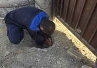 شناسایی ۱۵۰۲ انشعاب غیرمجاز آب در البرز طی چهار ماهه نخست سال ۱۴۰۵