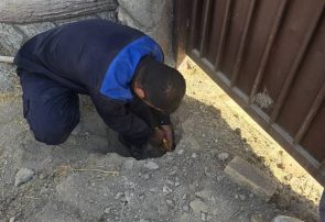 شناسایی ۱۵۰۲ انشعاب غیرمجاز آب در البرز طی چهار ماهه نخست سال ۱۴۰۵